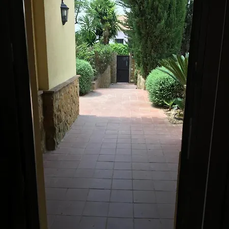 Jacaranda